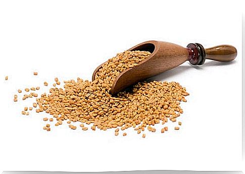 Fenugreek benefits for hair