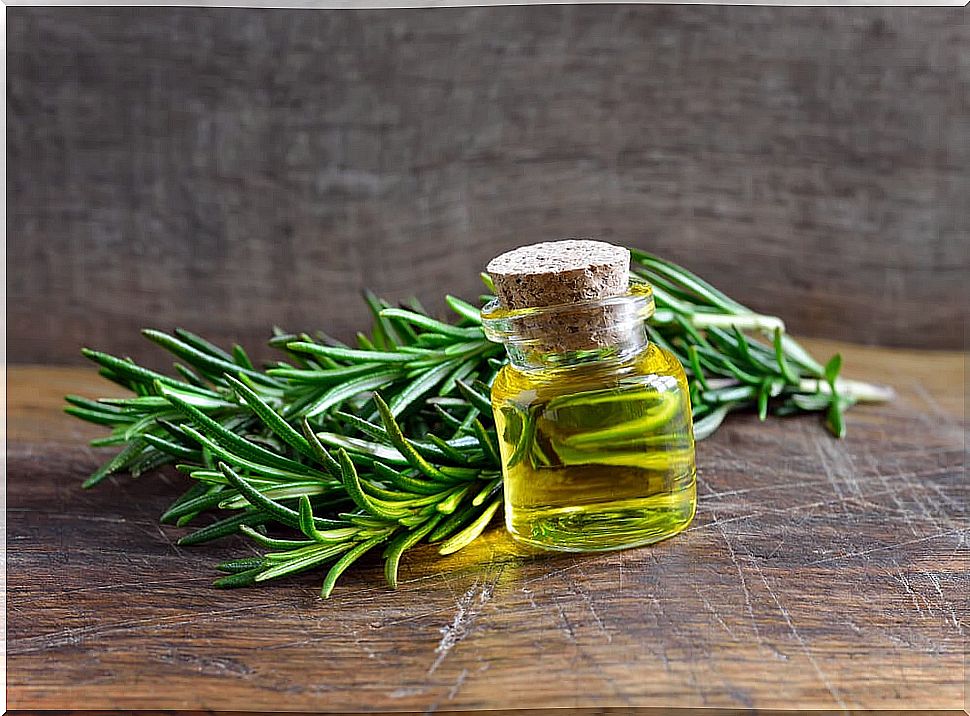 All the benefits of rosemary.