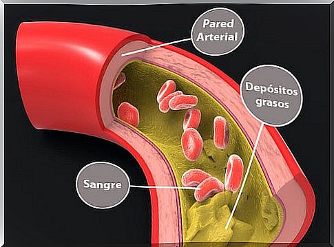 Triglycerides in blood.