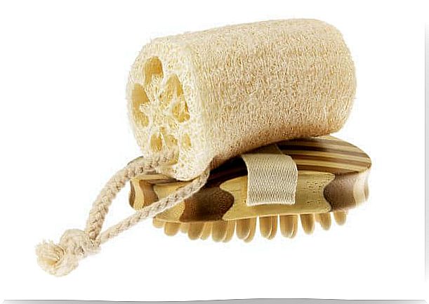 Natural loofah on a wooden brush