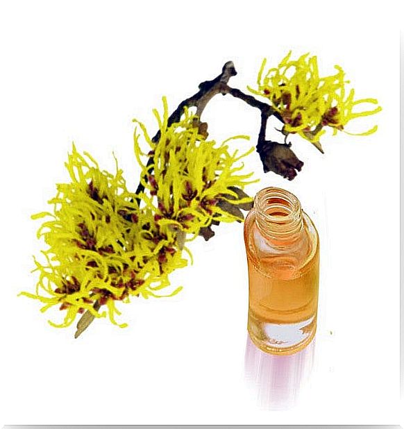 Witch hazel to treat red eyes