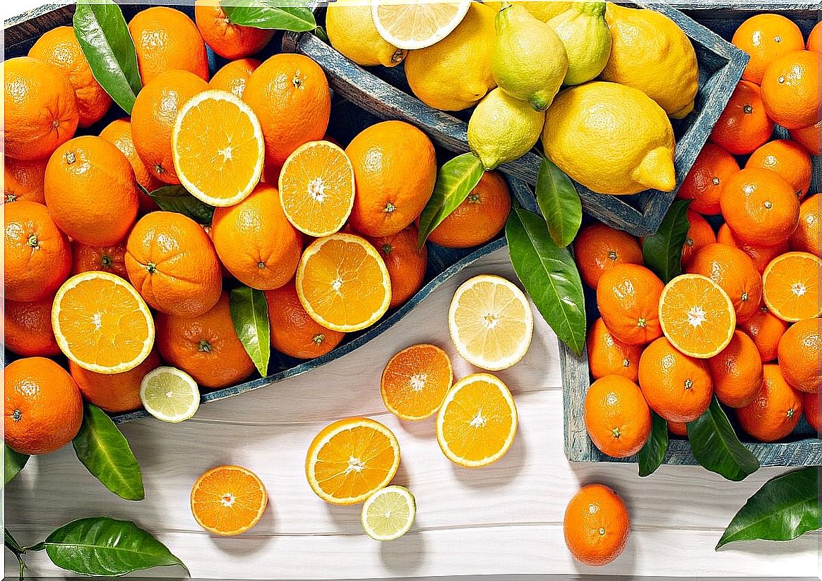 Citrus fruits.