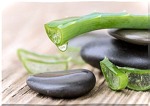 Aloe vera for bleeding hemorrhoids