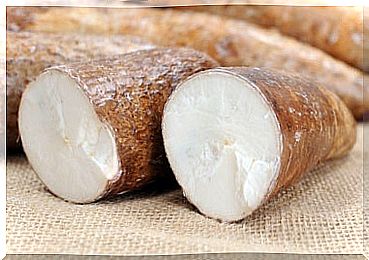 Fight arthritis by eating yucca