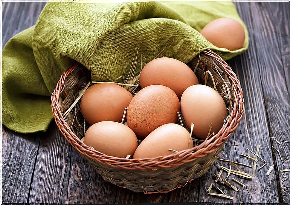 How often is it healthy to eat eggs