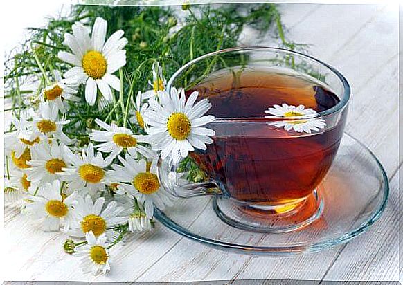 Chamomile flowers and infusion