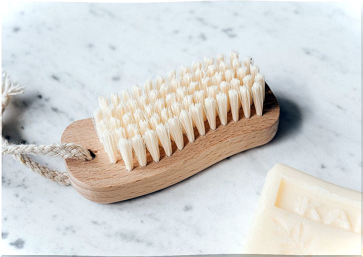 Natural bristle brush