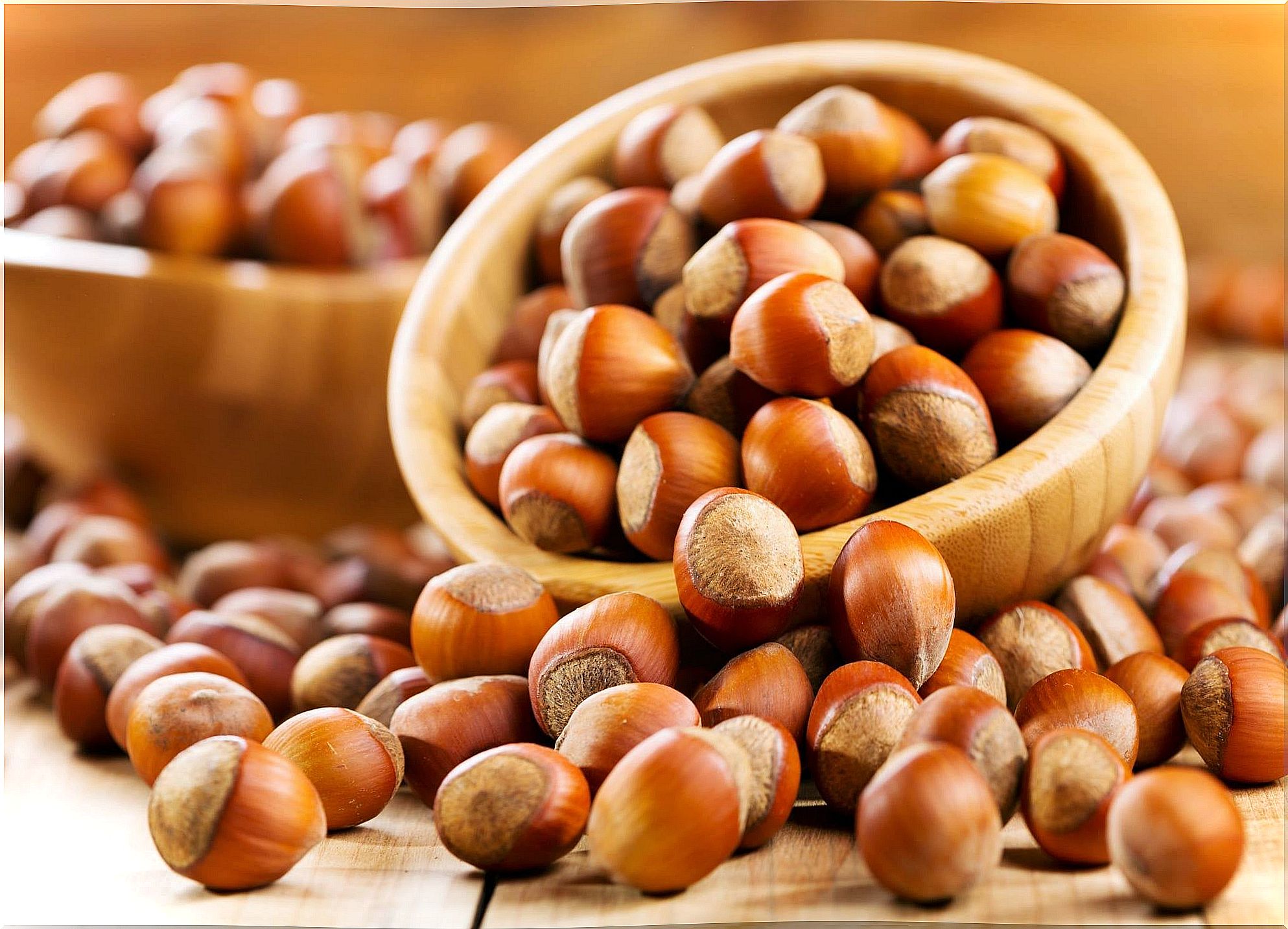 Hazelnuts will make the cocoa cream a source of fatty acids, vitamins, minerals and fiber