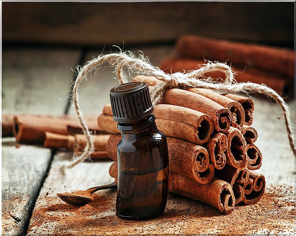 Cinnamon oil