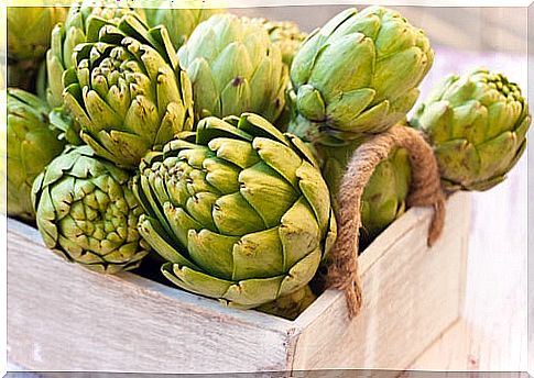 The benefits of artichoke: the best natural remedy