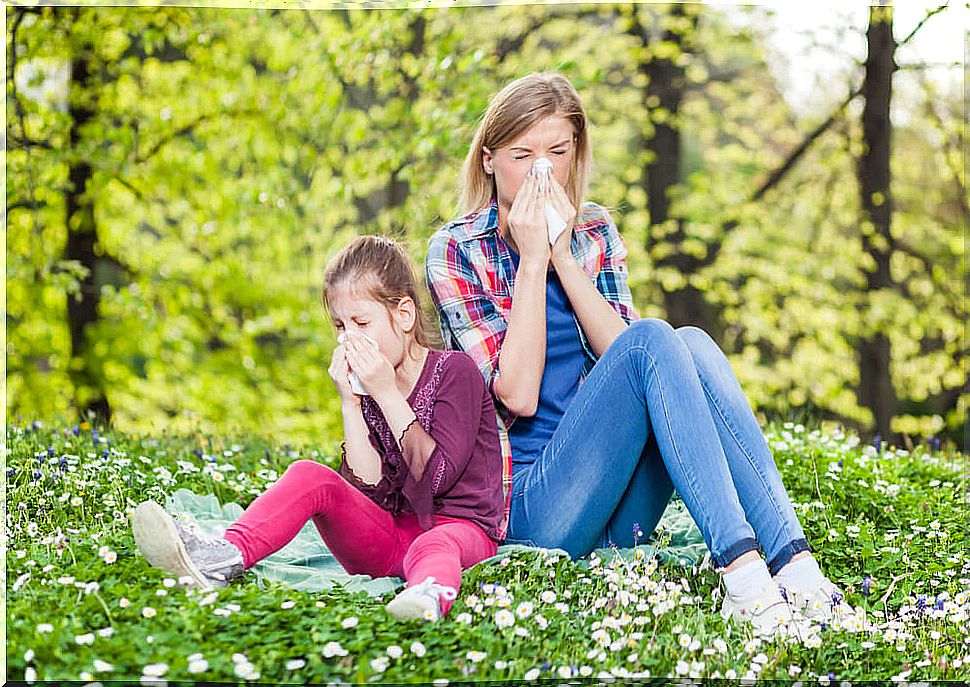 The best advice against respiratory allergies