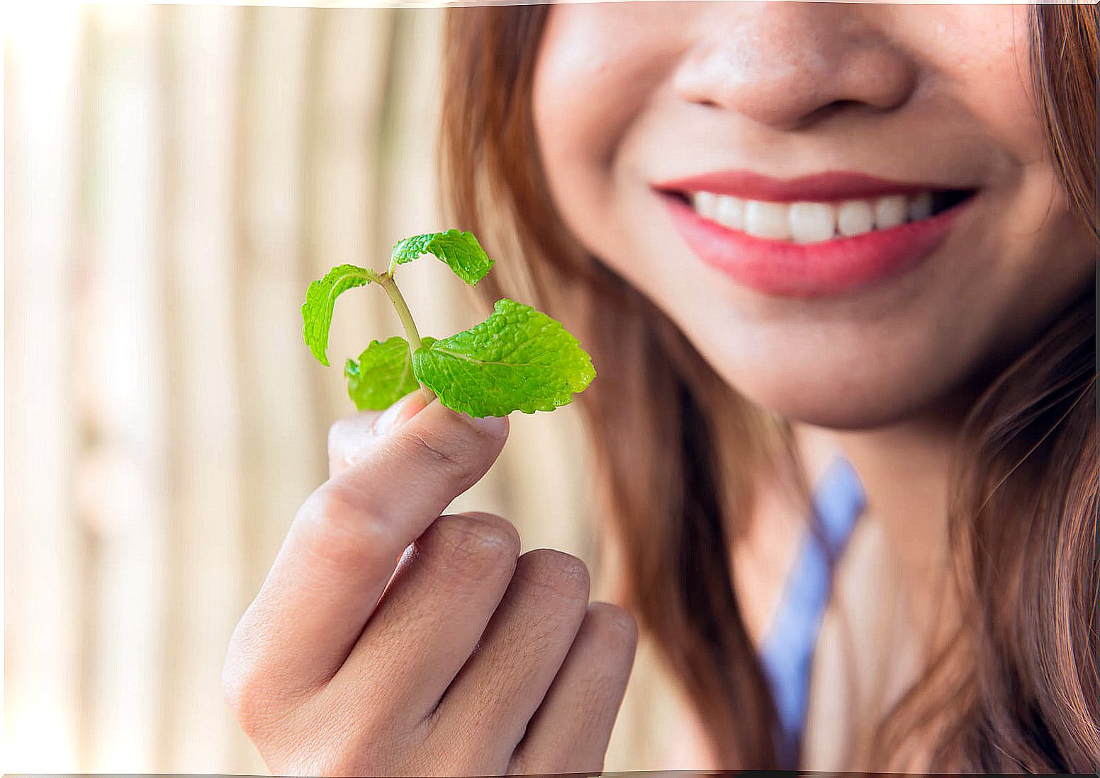 Peppermint: one of the tricks to fight bad breath.