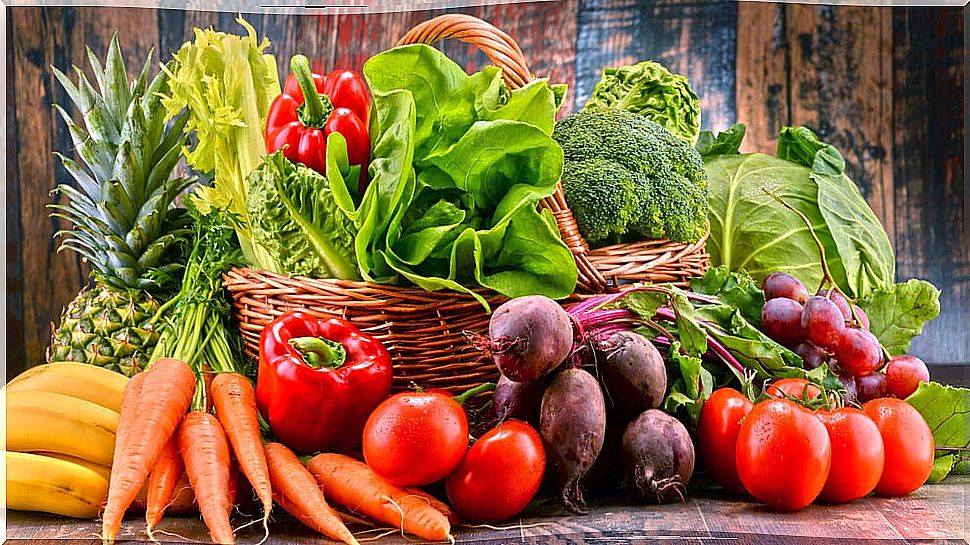 Vegetable fibers and their benefits in diet