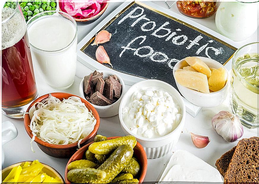 What is the difference between prebiotics and probiotics?