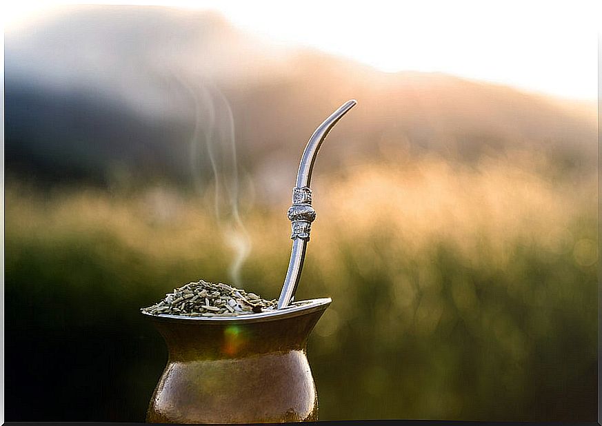 Yerba mate helps you lose weight